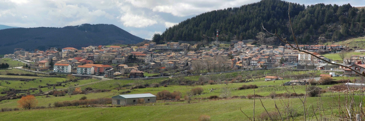 floresta3.jpg